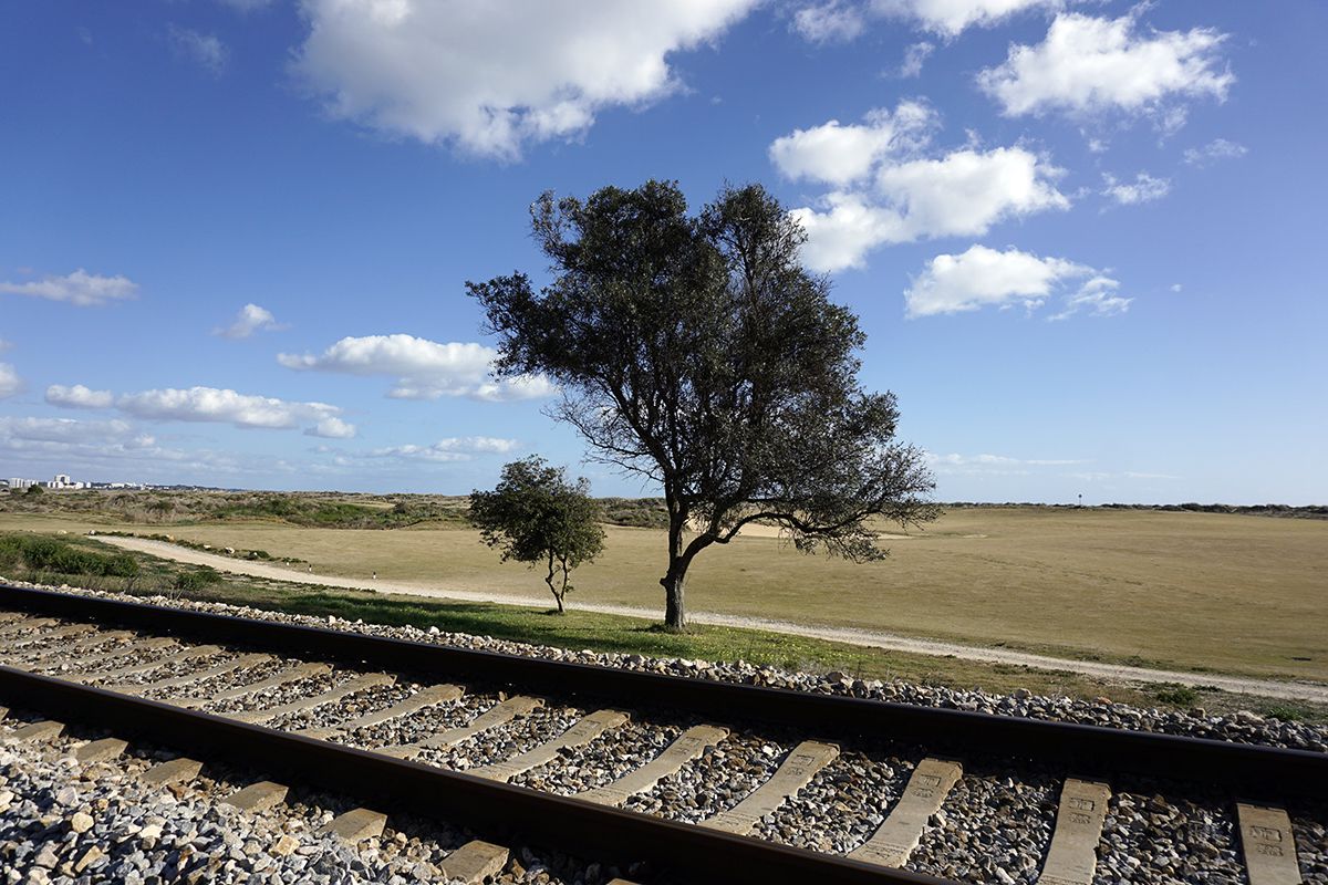 Unlimited rail travel in Portugal for €49 - Vimarsana News