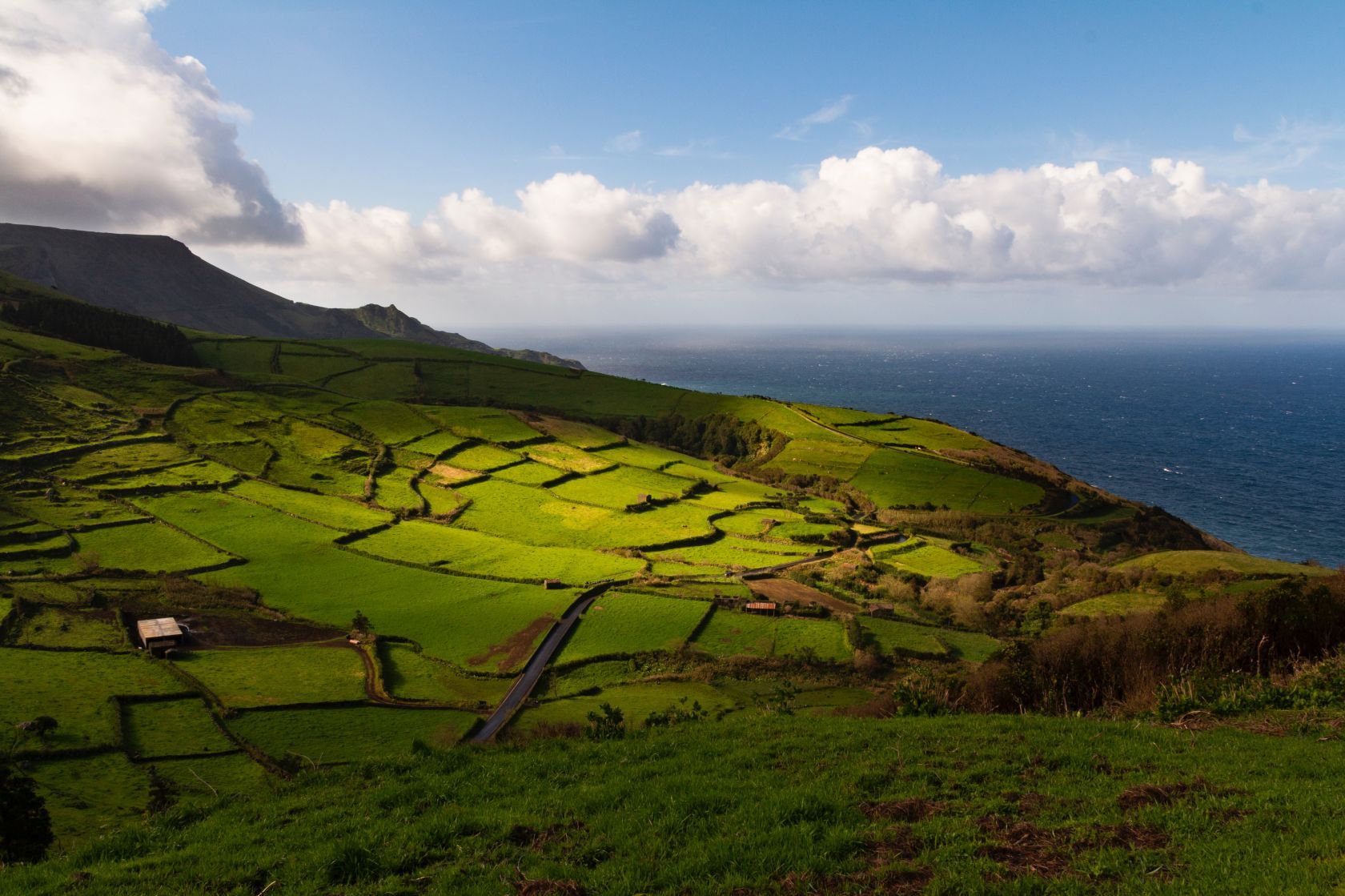 Earthquake on the island of Faial - Vimarsana News